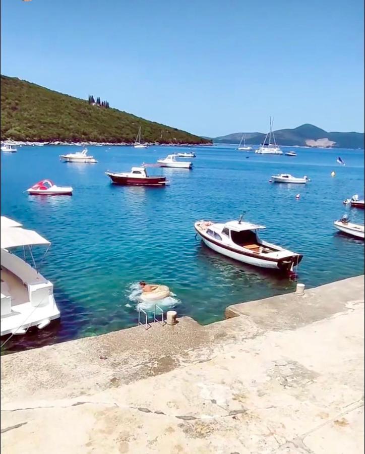 Apartment Lazarus Bigova Tivat